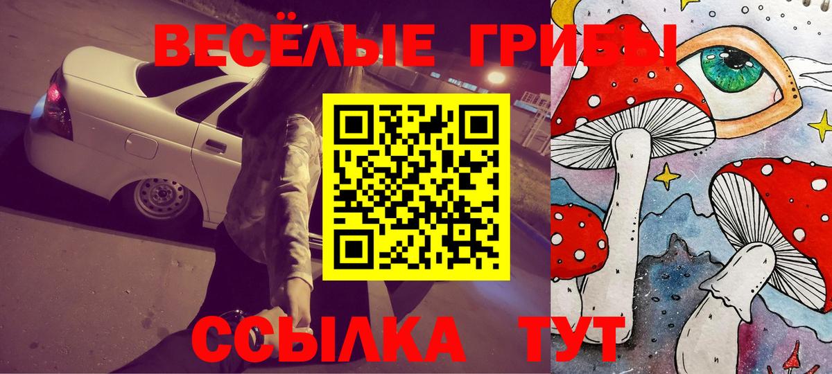 Псилоцибиновые грибы мицелий Киров