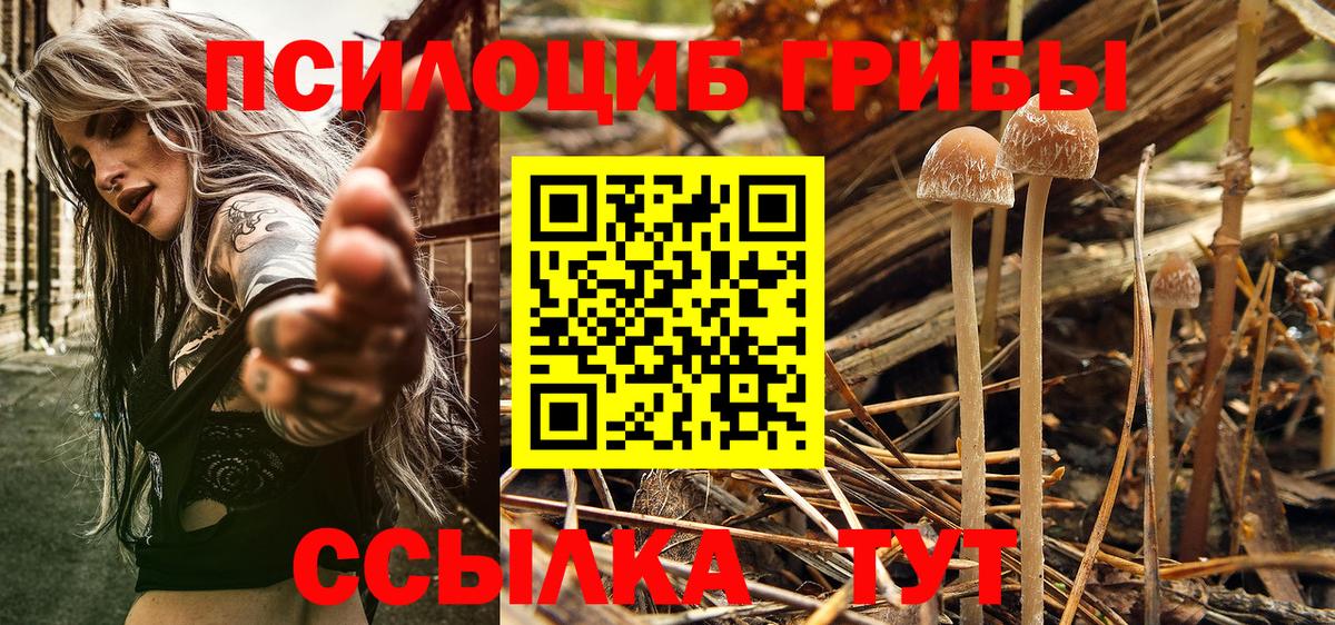 Киров  Галлюциногенные грибы ЛСД  Псилоцибиновые грибы Magic Shrooms  Вход с VPN 